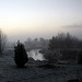 Foggy winter afternoon by the troutpond