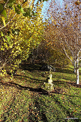 Path through the Hazels - Autumn 5154070246 o