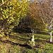 Path through the Hazels - Autumn 5154070246 o