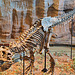T-Rex – Carnegie Museum of Natural History, Pittsburgh, Pennsylvania