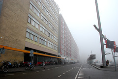 Foggy today