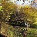 Path through the Hazels - Autumn 5153464369 o