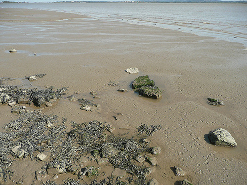 thames estuary, essex