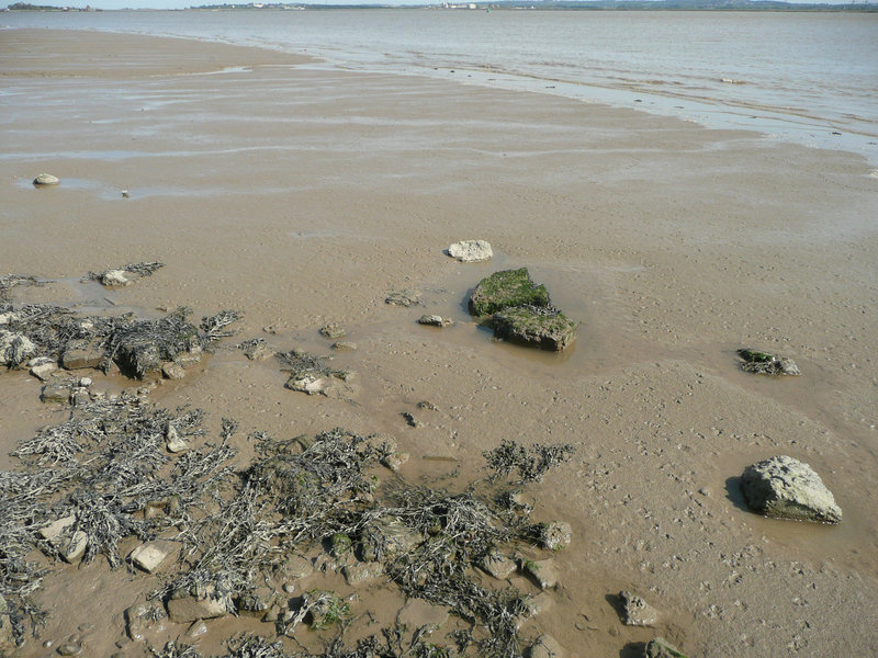 thames estuary, essex