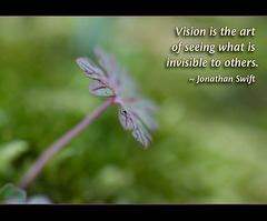 "Vision is the art of seeing what is invisible to others." ~ Jonathan Swift