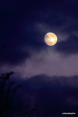 Full Moon (tomorrow) - anyone for some stilton?