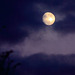 Full Moon (tomorrow) - anyone for some stilton?