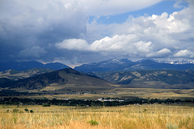 Bighorns Bighorns