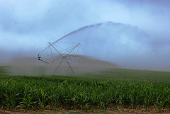 Cloud of Water