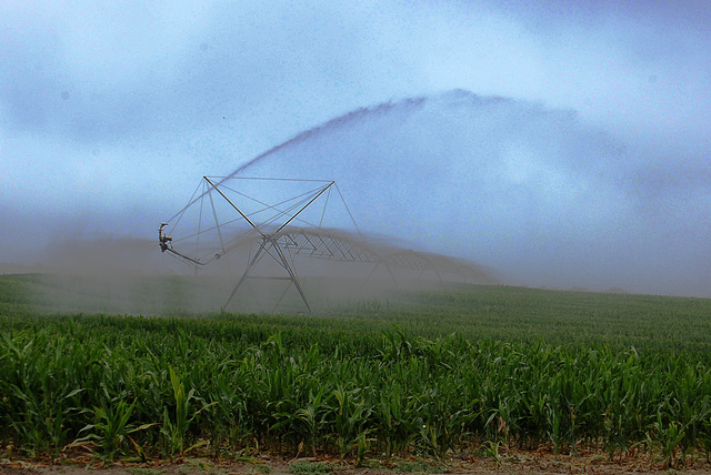 Cloud of Water