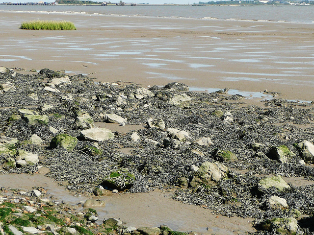 thames estuary, essex