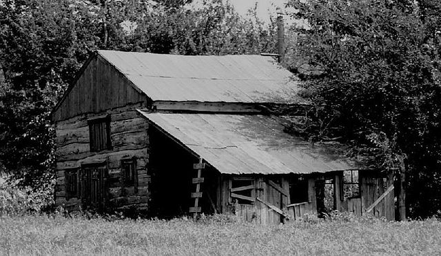 Log Cabin