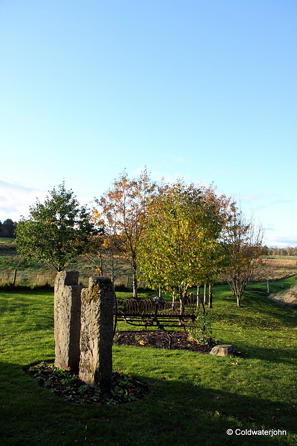 Autumn colours at dawn