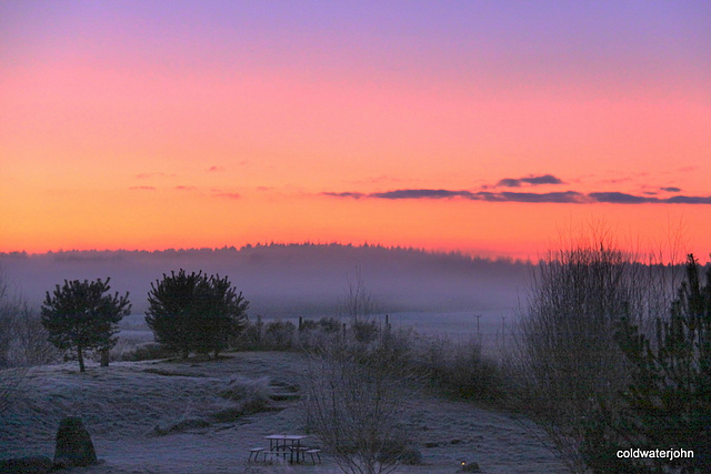 -4 degrees C. Pond garden