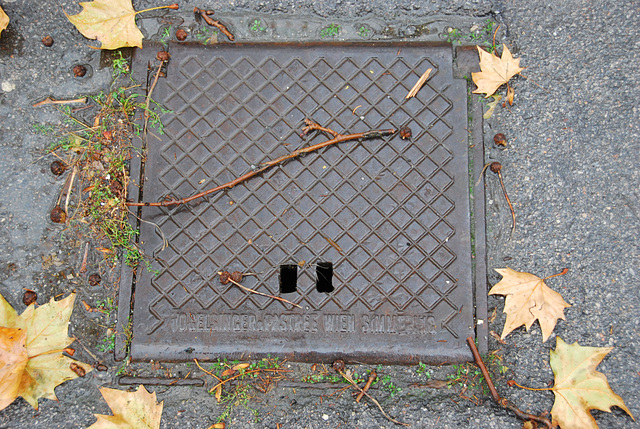 Drain cover of Vogelsinger & Pastree of Vienna-Simmering