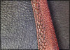 Dinosaur Skin! Er...Emu Leather-Bound Journal!