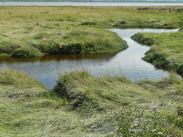 thames estuary, essex