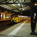 Train 526 & 905 at Haarlem Station