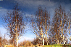 Inverted reflections at dusk