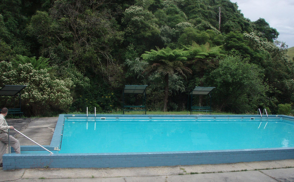 Grassy Spur Pool