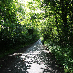 Marlesford Conservation Area, Suffolk (1)