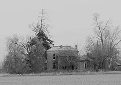 Victorian in the Weeds