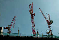 Cranes in the City