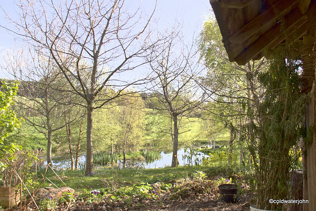 Sunny Spring Afternoon in the Pond  Garden