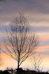 Inverted reflections at dusk