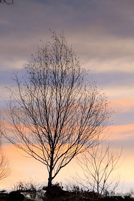 Inverted reflections at dusk