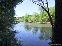 Coppice Pond