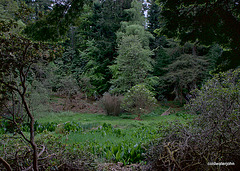 Blackhills Estate Visit May 23 2010