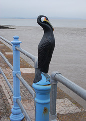 Cormorant?