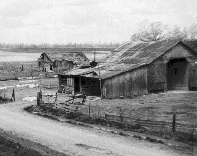 Old Corn Crib and Hog Shed