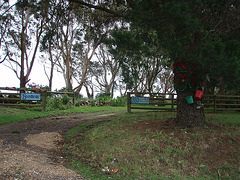 Christmassy farm entrance