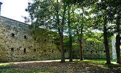 coal house fort, essex