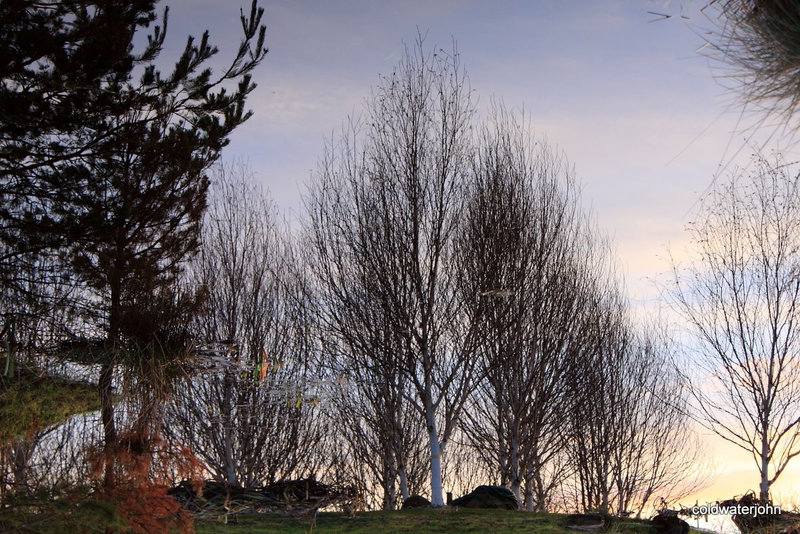 Inverted reflections at dusk