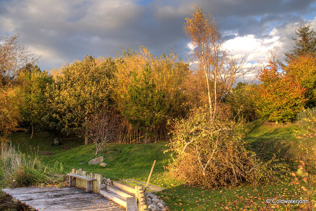 Autumn colours in early evening sunlight