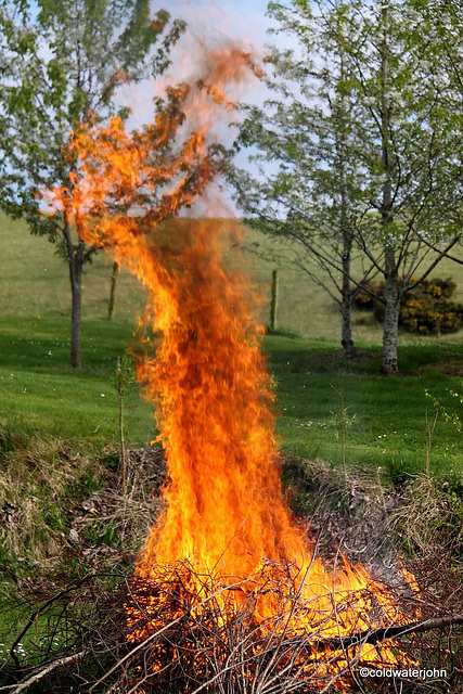 Spring Bonfire Series 1-6
