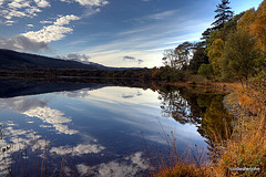 Autumn in Glen Affric - HDR