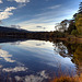 Autumn in Glen Affric - HDR