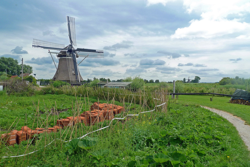 Nederland - Nijetrijne, De Rietvink