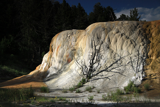 Orange Spring Mound