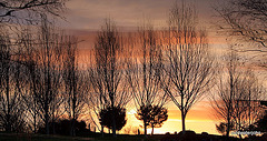 Inverted reflections at dusk