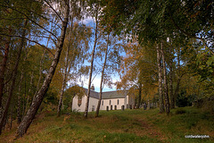 Autumn in Glen Affric - HDR