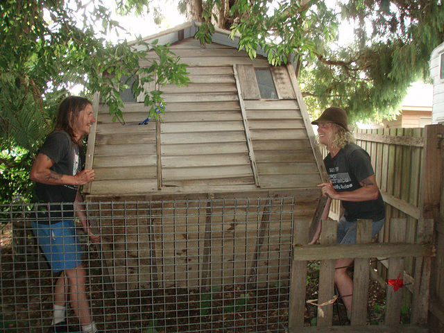 installing Di's chookhouse