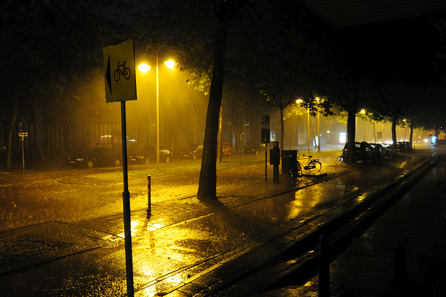 Storm over Leiden