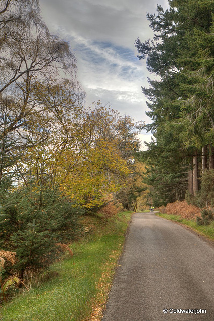 Autumn Journey down country lanes...