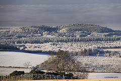 Winter view from Califer