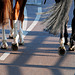 Horses on the cycle path